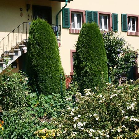 Dani'S Ferienwohnung Freiamt Exteriör bild