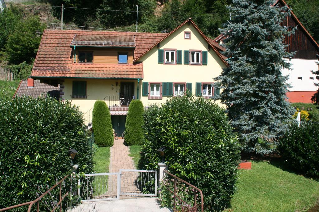 Dani'S Ferienwohnung Freiamt Exteriör bild