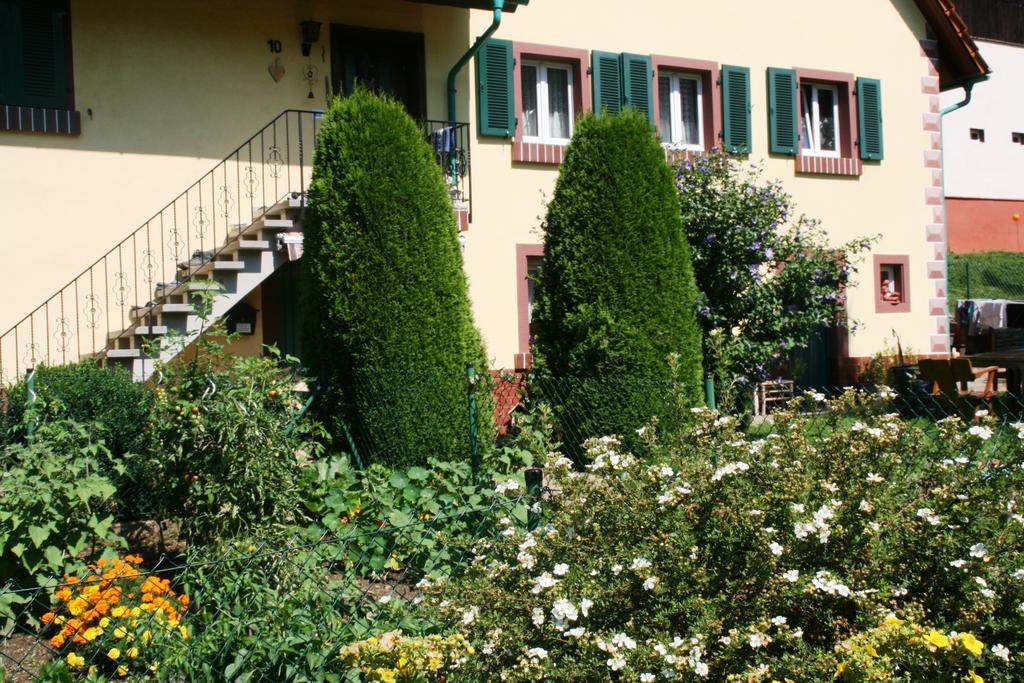 Dani'S Ferienwohnung Freiamt Exteriör bild